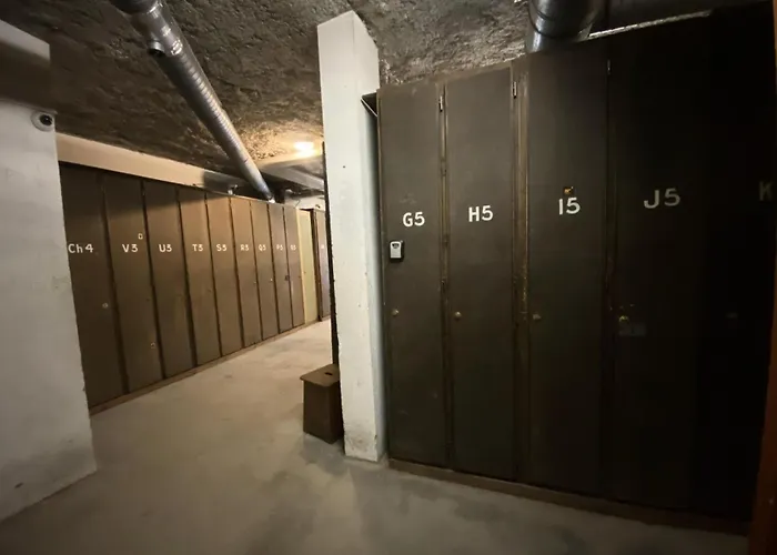 Апартаменты Serac - Location: En De La Station Mae-9080